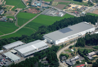 TAIRA PLANT