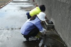 「雨水排水口に溜まった土砂を除去」写真