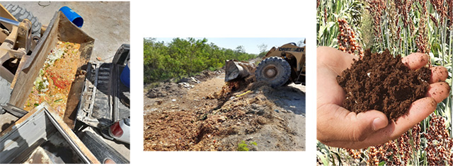 Making Use of Organic Waste (Mexico)